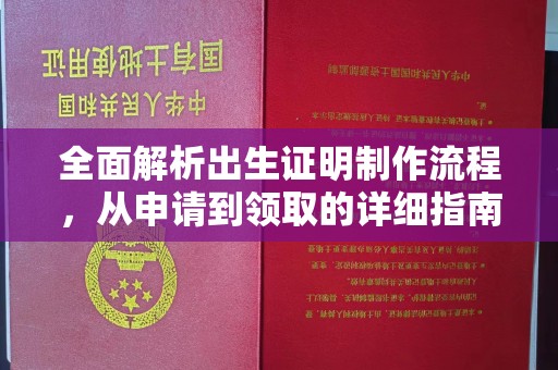屏边全面解析出生证明制作流程，从申请到领取的详细指南