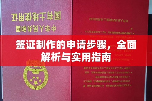 屏边签证制作的申请步骤，全面解析与实用指南