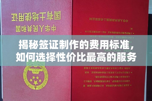 屏边揭秘签证制作的费用标准，如何选择性价比最高的服务？