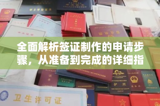 屏边全面解析签证制作的申请步骤，从准备到完成的详细指南