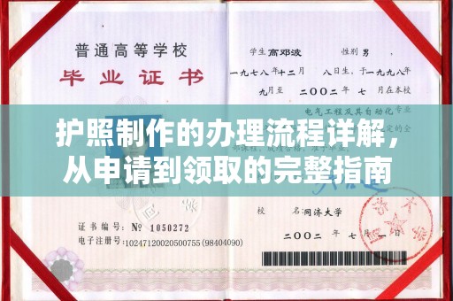 屏边护照制作的办理流程详解，从申请到领取的完整指南