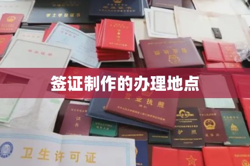 屏边签证制作的办理地点