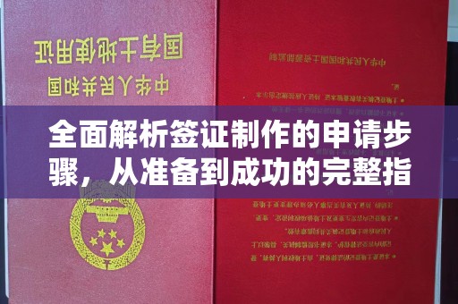 屏边全面解析签证制作的申请步骤，从准备到成功的完整指南