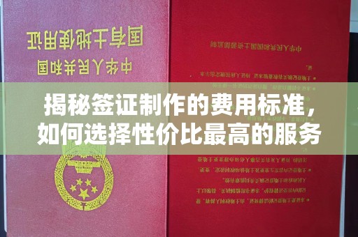 屏边揭秘签证制作的费用标准，如何选择性价比最高的服务？