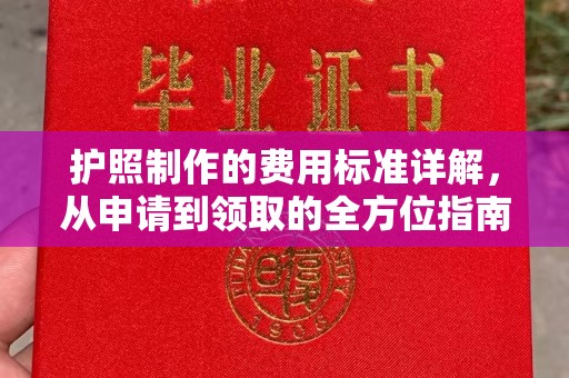 屏边护照制作的费用标准详解，从申请到领取的全方位指南