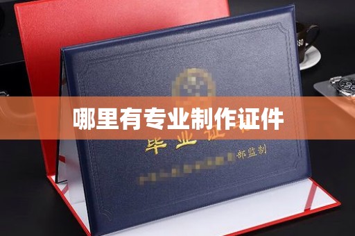 屏边哪里有专业制作证件